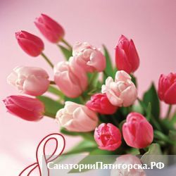 В канун 8 марта в Пятигорске выбрали «Женщину года»